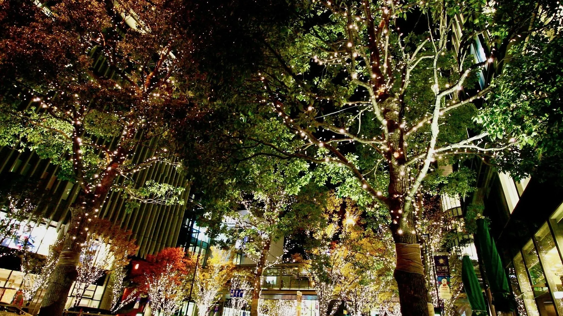Hostel Osaka Guesthouse Hive Fukushima